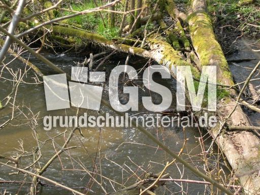 Bachlauf 2.jpg